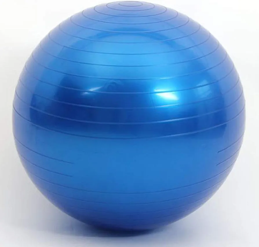 EXERCISE GYM YOGA SWISS 65cm BALL FITNESS