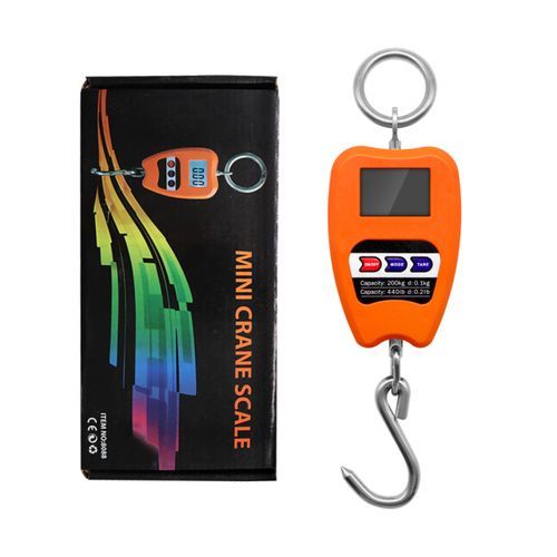 Mini Crane Scale 200kg Weighing Digital Industrial Hanging
