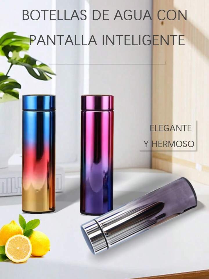 Water Bottle With LED Temperature Display Stainless