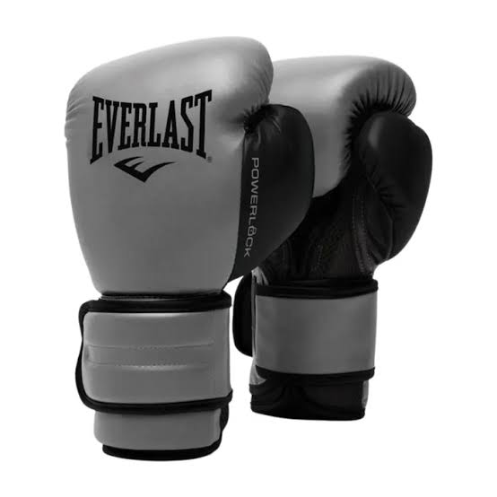 Everlast Professional Boxing Gloves