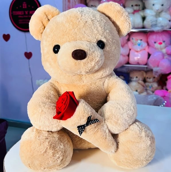 50cm Quality Teddy Bear